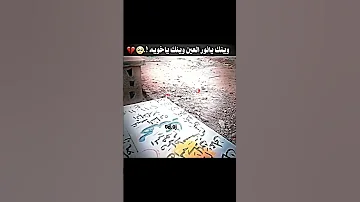 وينك يا نور العين وينك ياخويه 