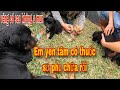 Cả Team Săn Bắt Ẩm Thực Vùng Cao Tranh Đấu Với Tử Thần Cứu Đàn Chó Hoang |Đại 87