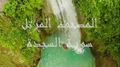 سورة السجدة - الشيخ عبد الراضي علي