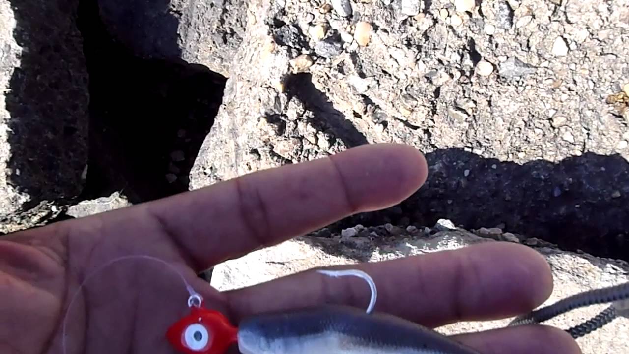 Trout rig - YouTube