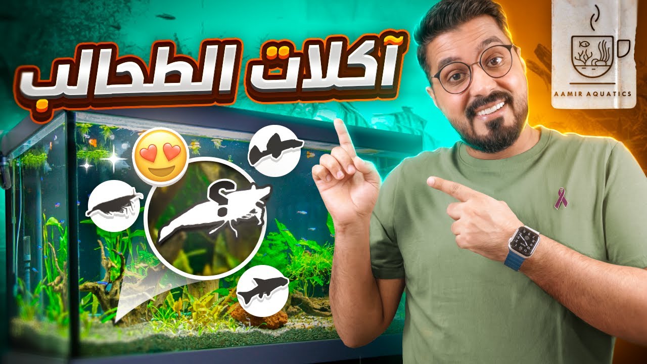 خطوط الدفاع الأمامية!! شرح جميع انواعها و طرق تحضيرها.. (اول كائنات في حوض سمك الزينة)