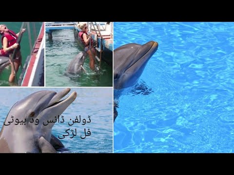 Dubai Dolphin Dance