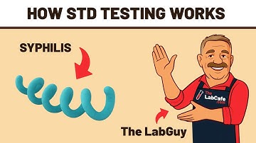 How Syphilis Testing Works