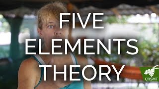 Celebrity Five Element Theory of Traditional Chinese Medicine Wealth