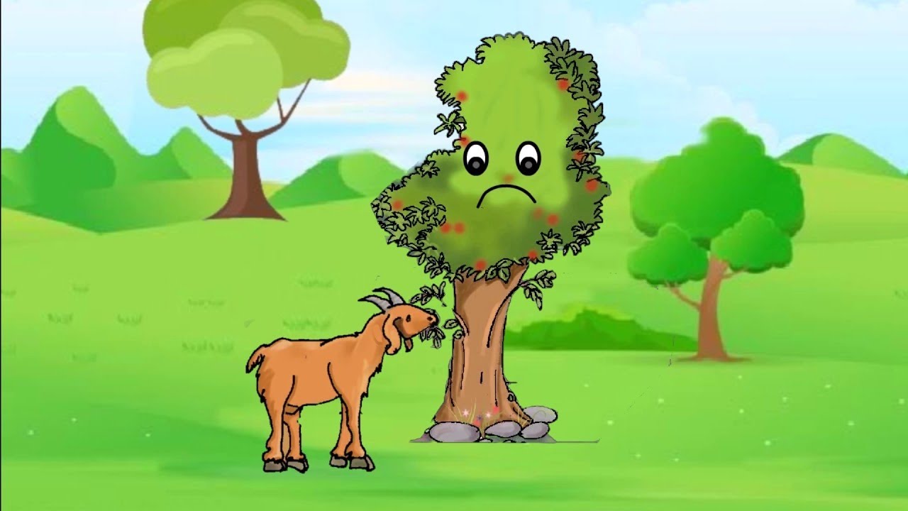 NEW WORDS MEANING WITH PICTURE EXPLANATION NCERT CLASS 4th ENGLISH new-words-meaning-with-picture-explanation-ncert-class-4th-english