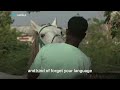 Hot topic: Somalia diaspora and the connection to their homeland
