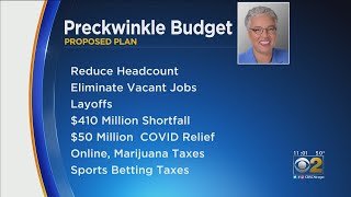 Preckwinkle's 2021 Budget Plan Doesn't Raise Taxes, Cuts Vacant Jobs
