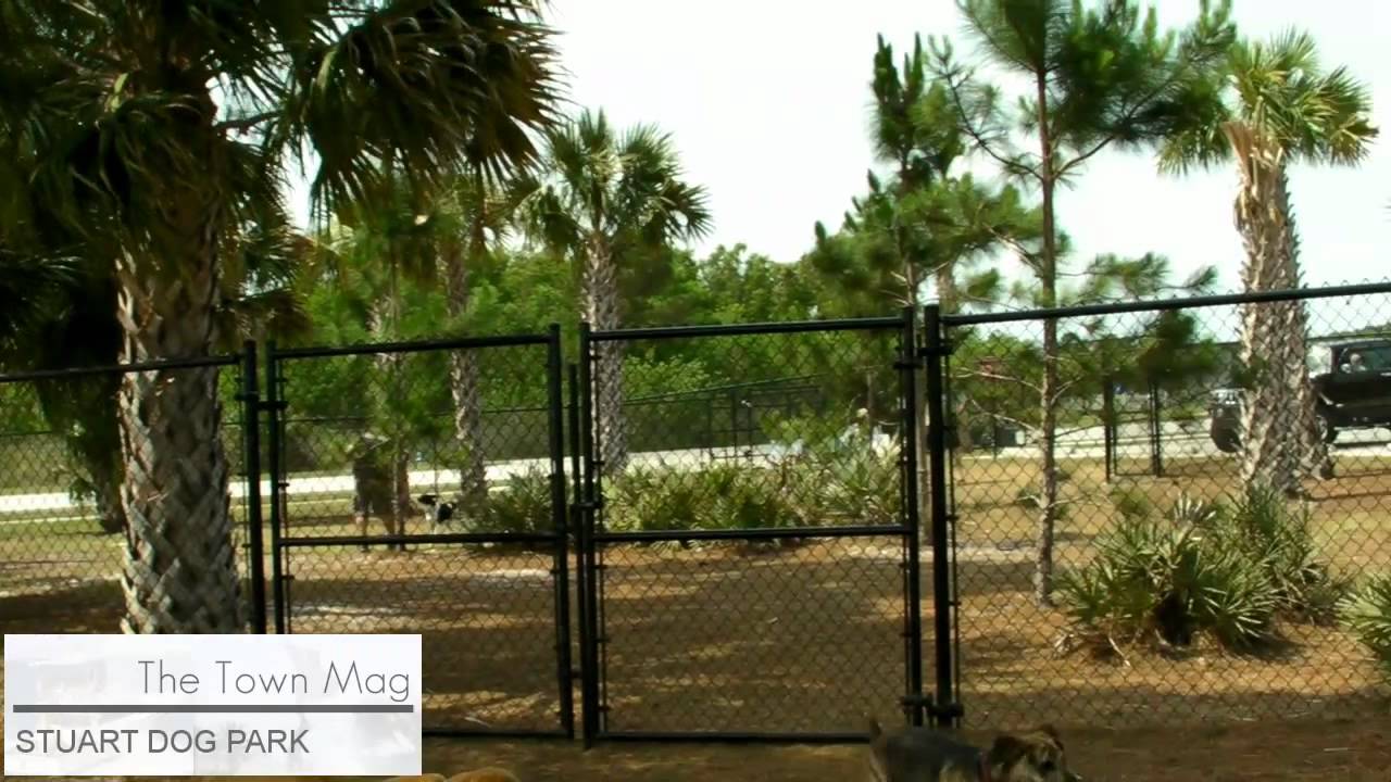 THE TOWN MAG The Stuart, Florida Dog Park YouTube