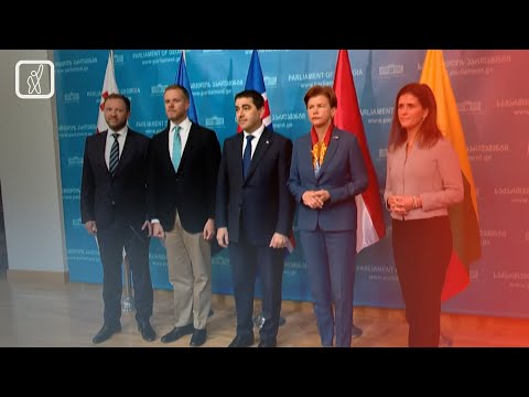 ევროპული ქვეყნების საგარეო საქმეთა მინისტრების ვიზიტი საქართველოში