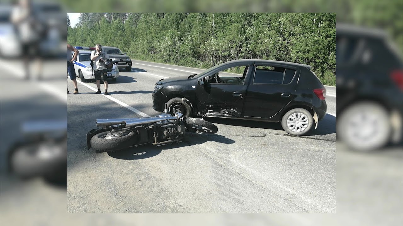 ДТП в Серове: пострадали пешеход, мотоциклист и… лось