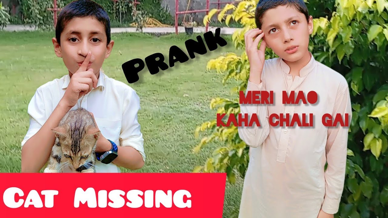 Cat😽 Missing,Prank with Riyan 😜
