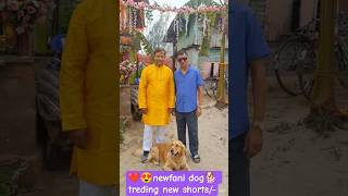 Untitle😄😜#lovely #dogsofyoutube #shorts #new #fani 🙏❤