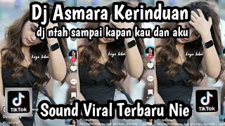 DJ ASMARA KERINDUAN DJ NTAH SAMPAI KAPAN KAU DAN AKU SOUND VIRAL TIKTOK TERBARU NIE JEDAG JEDUG