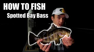 How To Fish Metal Jigs and Tailspins For Spotted Bay Bass