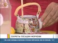 Секреты посадки моркови