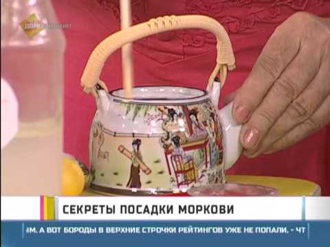 Секреты посадки моркови