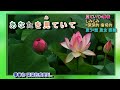 浪花恋唄  山口のり   字義版