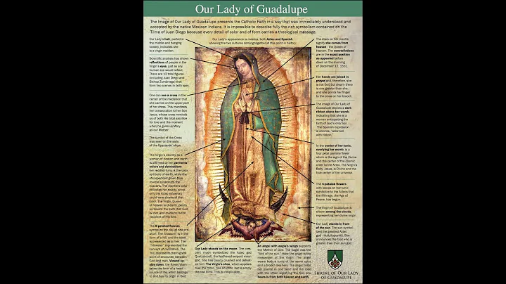 Our Lady of Guadalupe - Michael O'Neill The Miracle Hunter (24th May 2022)