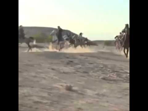 شيله احمد سيار ياعيال وايل ياعقالي