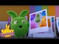 COMPILATION DEL TEMPO IN FAMIGLIA | Sunny Bunnies | WildBrain Italiano