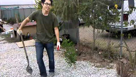 October 16, 2010 3:35 PM