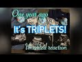Families reaction to surprise TRIPLETS|full unedited reactions