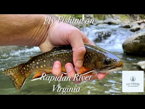 Wade Fishing the Rapidan River of Virginia: From Smallmouth Bass to Trout [Book]