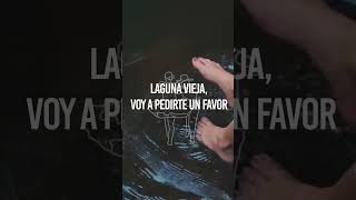 Laguna Vieja - Reynaldo Armas #videolyric #shorts