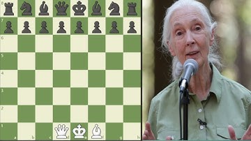 Can I beat The New Jane Goodall Bot With Only Bishop & Queen? Speedrun