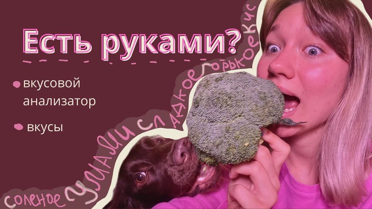 ВКУСОВОЙ АНАЛИЗАТОР | ЕГЭ | Почему есть руками вкуснее? - YouTube