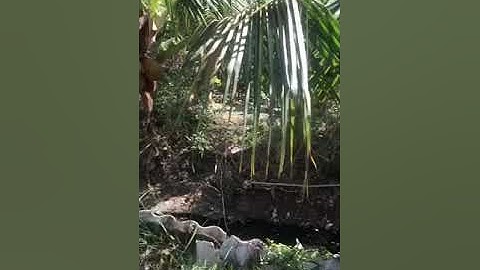 tân tập cần giuộc long an | bán 400m2 thổ cư giá 4,8 tỷ. cb