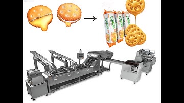 BOSTAR Sandwich Biscuits Flowpack Packing Machine(auto feeding and packing) (no tray multipack)