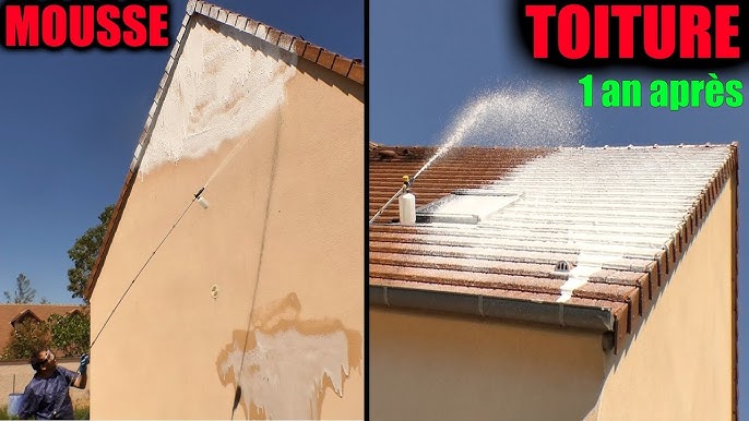 Nettoyage de la toiture, traitement hydrofuge et Algimouss - Francis  Couverture