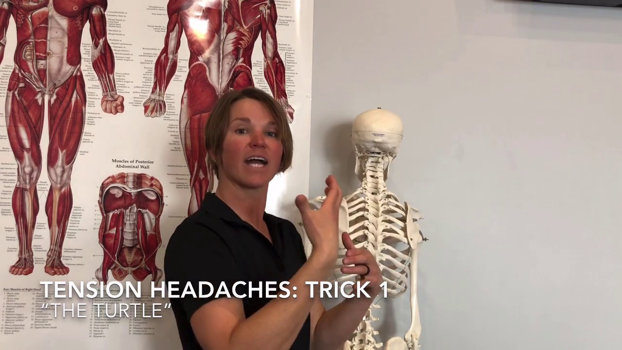Turtles for Tension Headaches at Ascent Health & Performance - Anchorage, Alaska Chiropractor