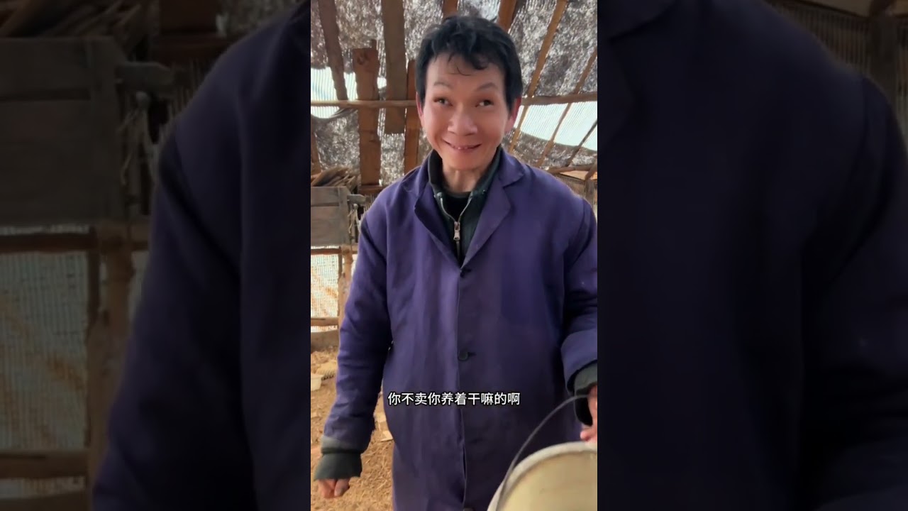 种地一年稻谷全给鸡干完了，二哥回家跟大哥商量对策，大哥回复太暖心了