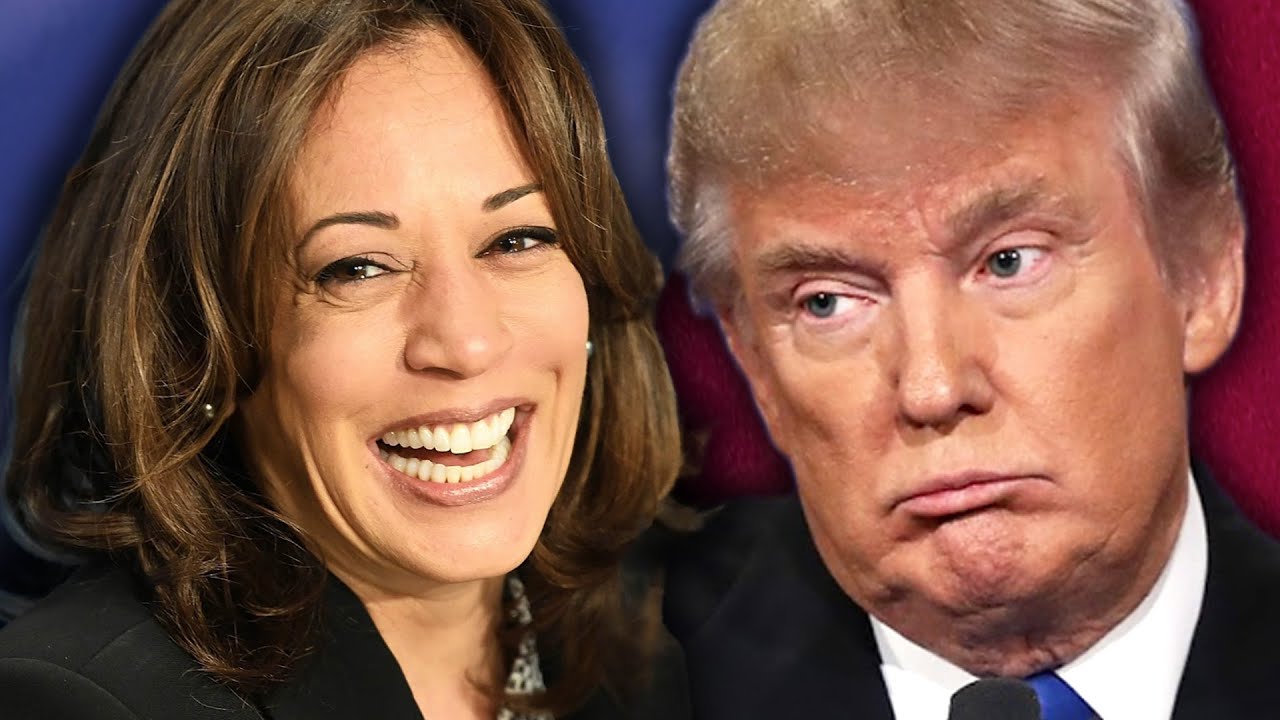 MAGA World in SHAMBLES Over Shocking New Polling Data