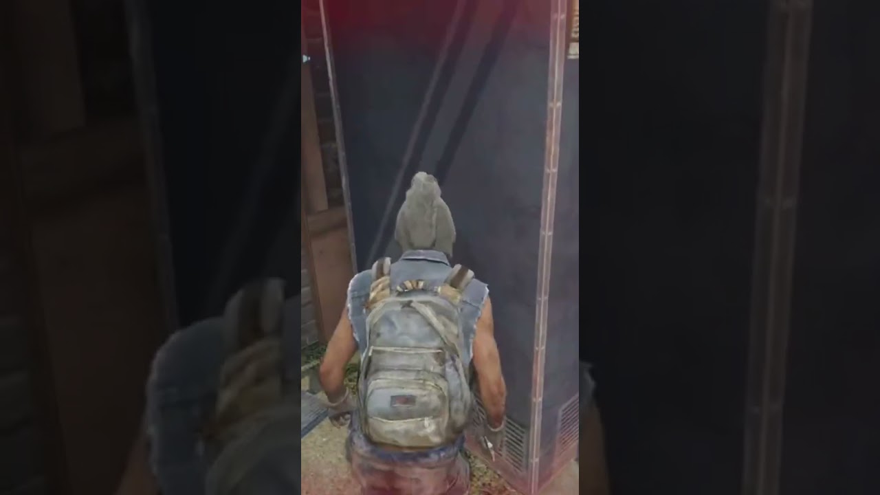 Th last of us factions 2025