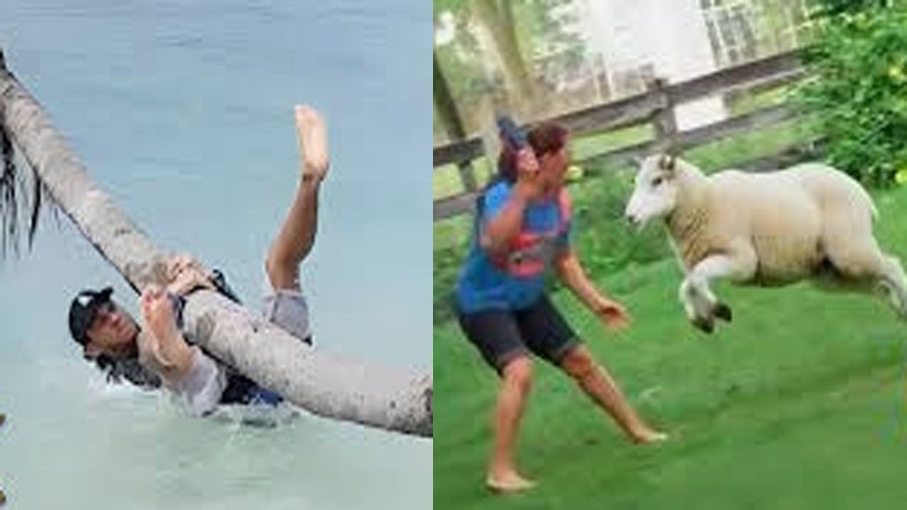 Best Funny Videos Competition | Try Not to Laugh! 😂