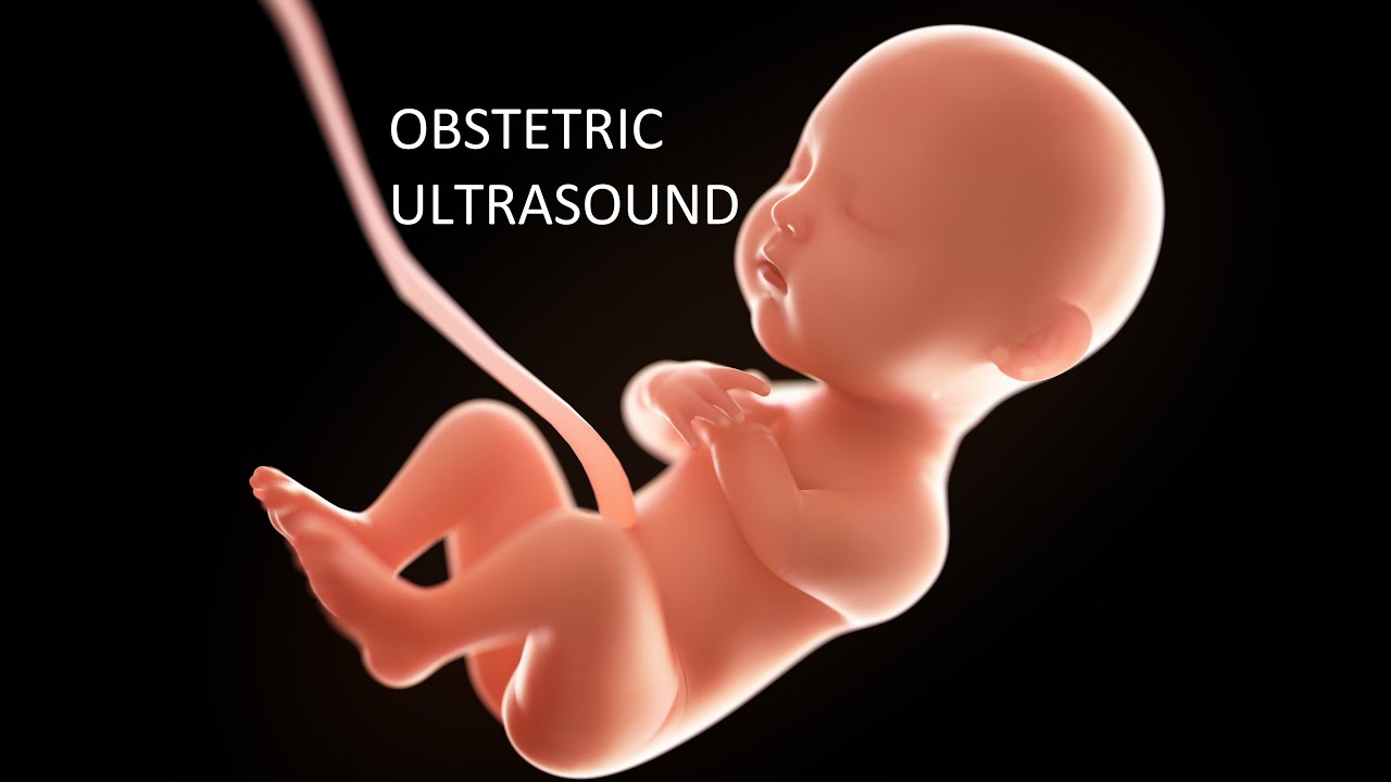 OBSTETRIC ULTRASOUND MORPHOLOGY SCAN AND SECOND TRIMESTER YouTube