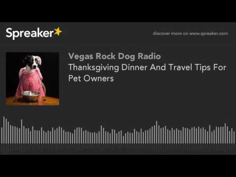 वीडियो: कुत्ते के मालिक के लिए थैंक्सगिविंग डिनर टिप्स