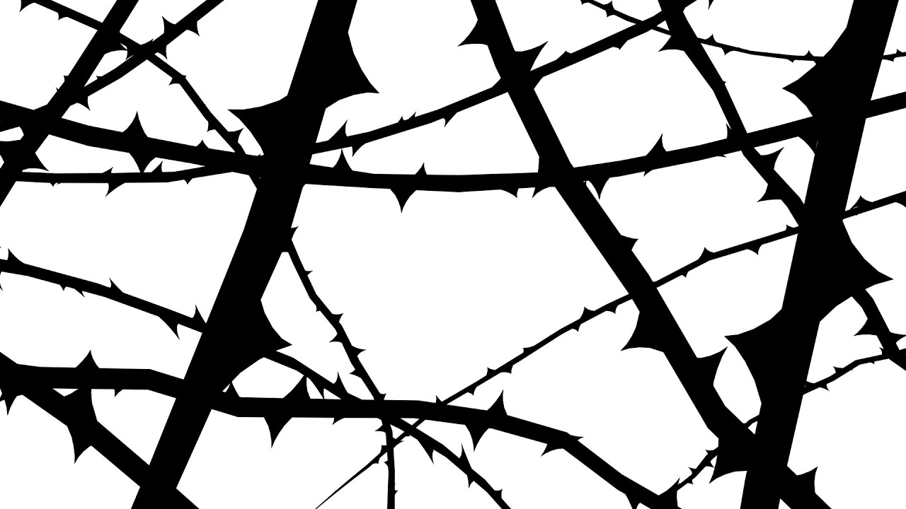 動画素材 動く茨 Youtube