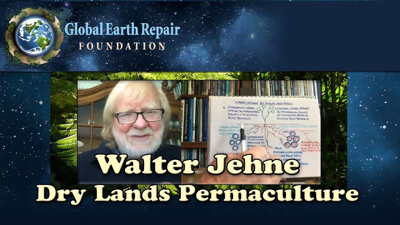 Walter Jehne - Restoring Water and Soils in Arid Australia - Drylands Permaculture Course Zoom