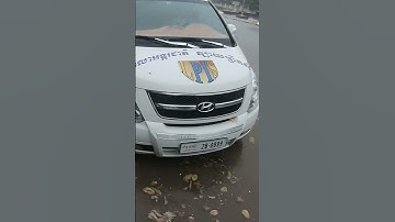 Removing Leaves Clogged Culvert Drain #remove #unclog #culvert #shorts