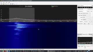The bat echolocation sounds (spec. no.5) via Airspy HF+ SDR receiver