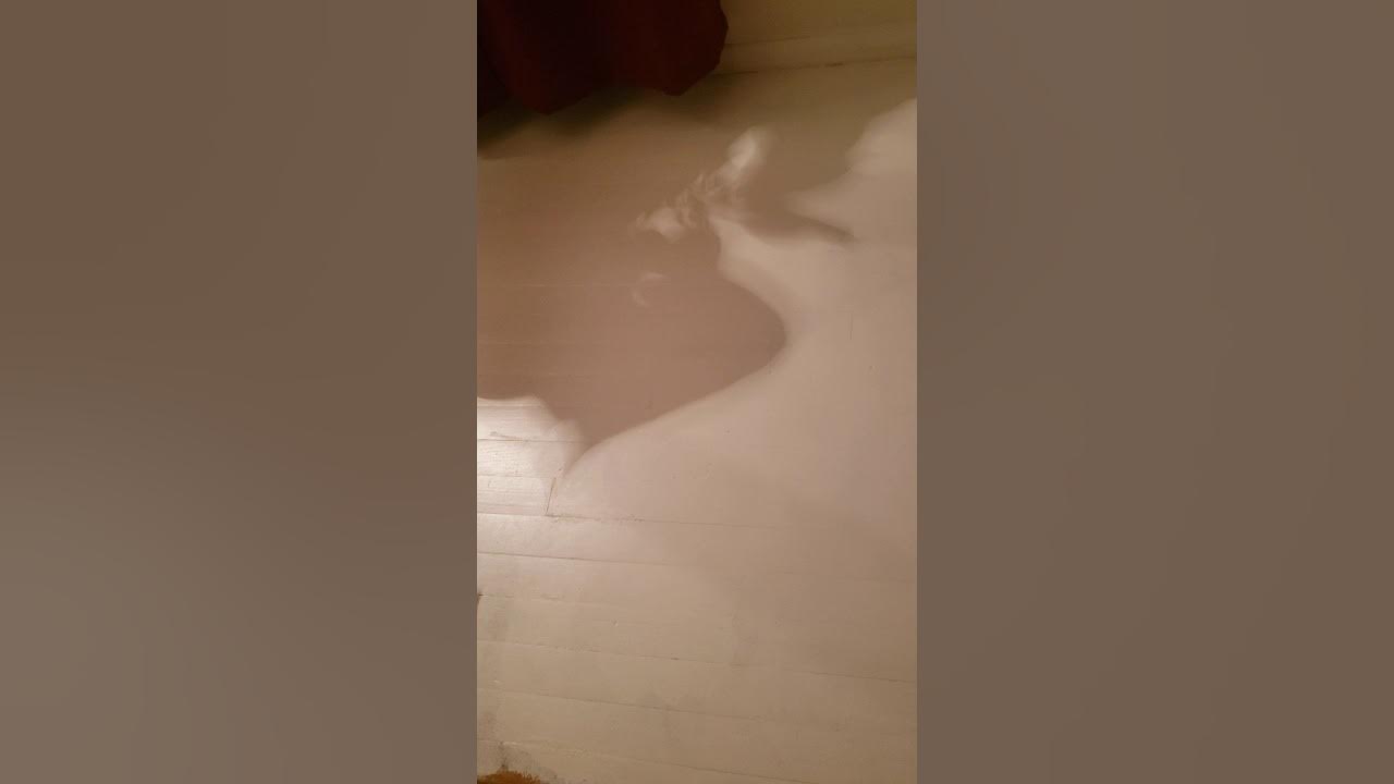 Painting hardwood floors using PPG Breakthrough paint. YouTube