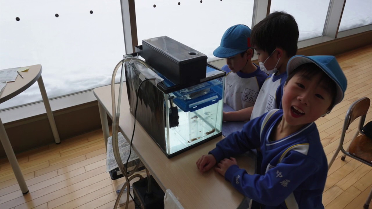 FISHPASS総集編2018