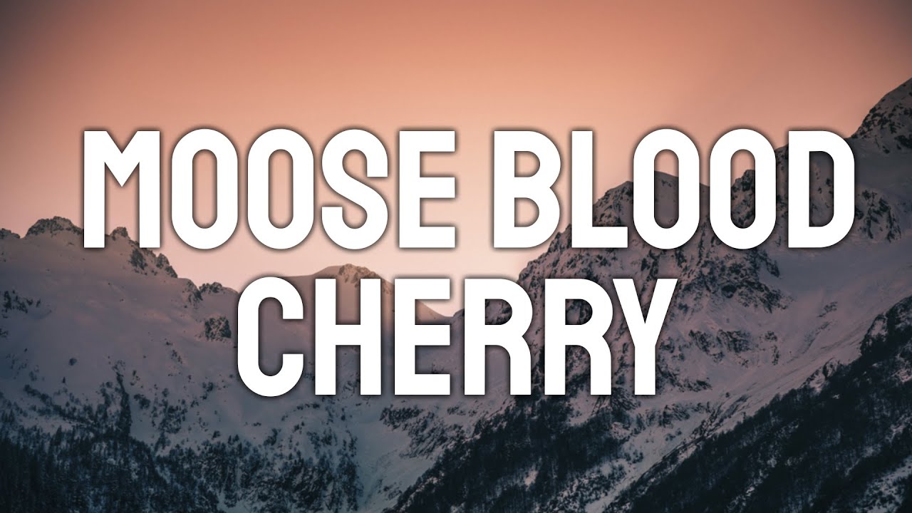 Moose Blood Cherry (Lyric Video) YouTube