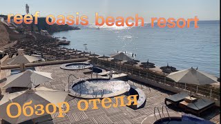 Обзор отеля Reef oasis beach resort, Египет, Шарм эль шейх