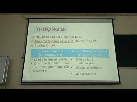 Video: Đừng Làm Một Tên Cặn Bã Nữa! Sắp Xếp Cuộc Sống Của Bạn Với Những Lời Khuyên Này