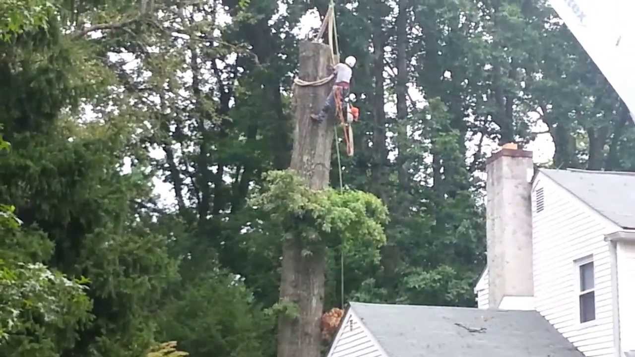 Bucks County, Pa - McCreesh Tree Service, Inc.